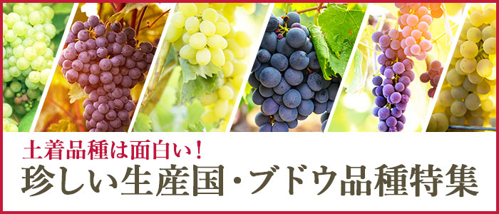 珍しい品種・国