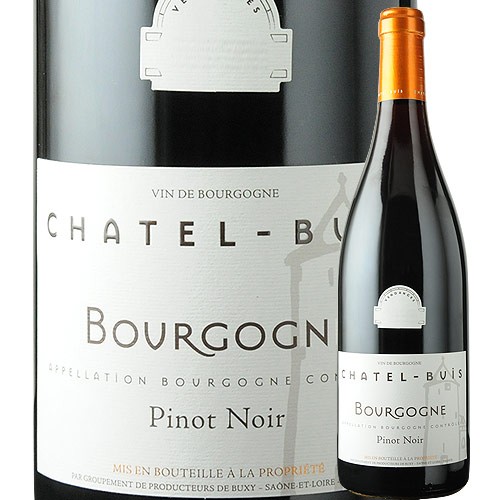 ピノ・ノワール シャテル・ビュイ 2022年 フランス ブルゴーニュ 赤ワイン 750ml