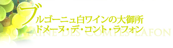 ブルゴーニュ白ワインの大御所　ドメーヌ・デ・コント・ラフォン