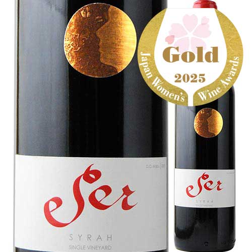 セール・シラー ヴィニャ・マーティー 2019年 チリ マイポ・ヴァレー 赤ワイン 750ml
