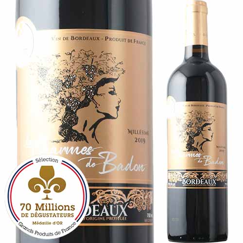 レ・シャルム・ド・バドン 2019年 フランス ボルドー 赤ワイン フルボディ 750ml