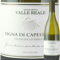 ヴィニャ・カペストラーノ ヴァッレ・レアーレ 2011年 イタリア アブルッツオ 白ワイン 辛口 750ml