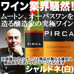 ピルカ・シャルドネ ヴィニャ・マーティ 2016年 チリ セントラル・ヴァレー 白ワイン 辛口 750ml