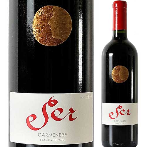 セール・カルメネール ヴィニャ・マーティー 2020年 チリ セントラル・ヴァレー 赤ワイン 750ml