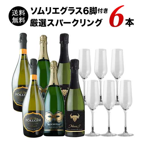 【限定セット】飲食店様開業応援！グラス6脚付き 厳選スパークリング6本セット 送料無料