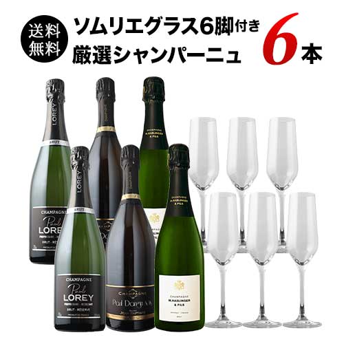 【限定セット】飲食店様開業応援！小規模生産者が手掛ける 厳選シャンパーニュ6本セット〈グラス6脚付き〉 送料無料