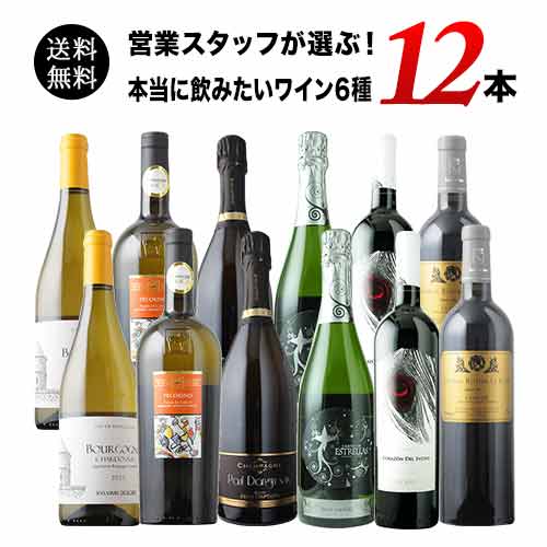 【限定セット】株式会社ソムリエ 営業スタッフが選ぶ！本当に飲みたいワイン6種12本セット 送料無料