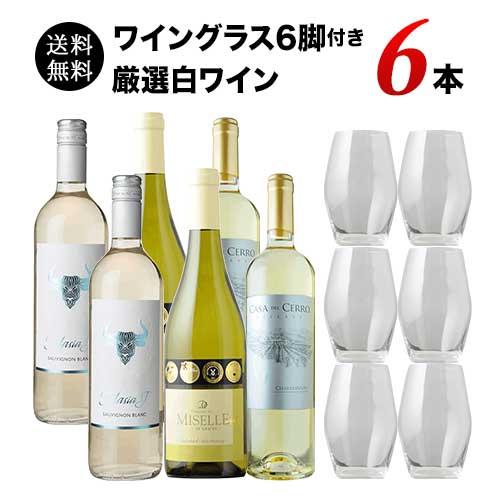 【限定セット】飲食店様応援キャンペーン！グラスワインにおすすめ！ワイングラス6脚付き 厳選ワイン6本セット(白ワイン） 送料無料