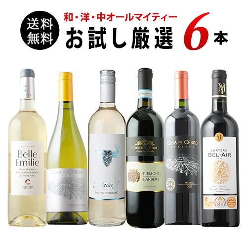 送料無料　お試し厳選ワイン6本（和・洋・中オールマイティー向け）